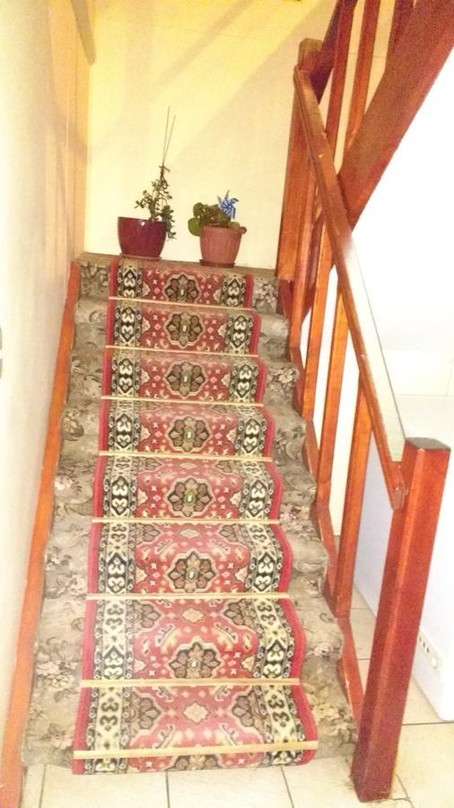 Hostal El Toque De Pilar Punta Arenas Ngoại thất bức ảnh
